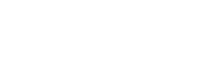 cyrela-logo 2
